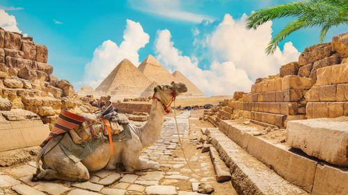 North Africa