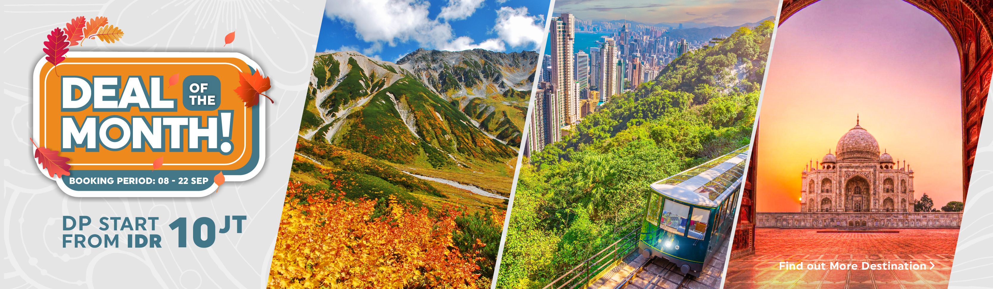 Deal of the Month September – Golden Rama