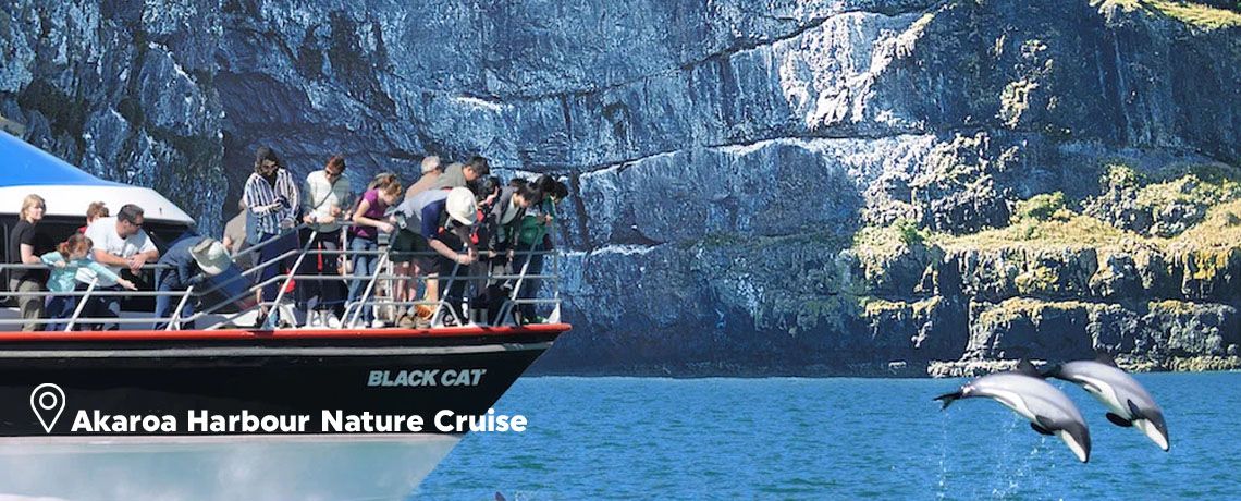Favorite South Island New Zealand & Akaroa Harbour Nature Cruise